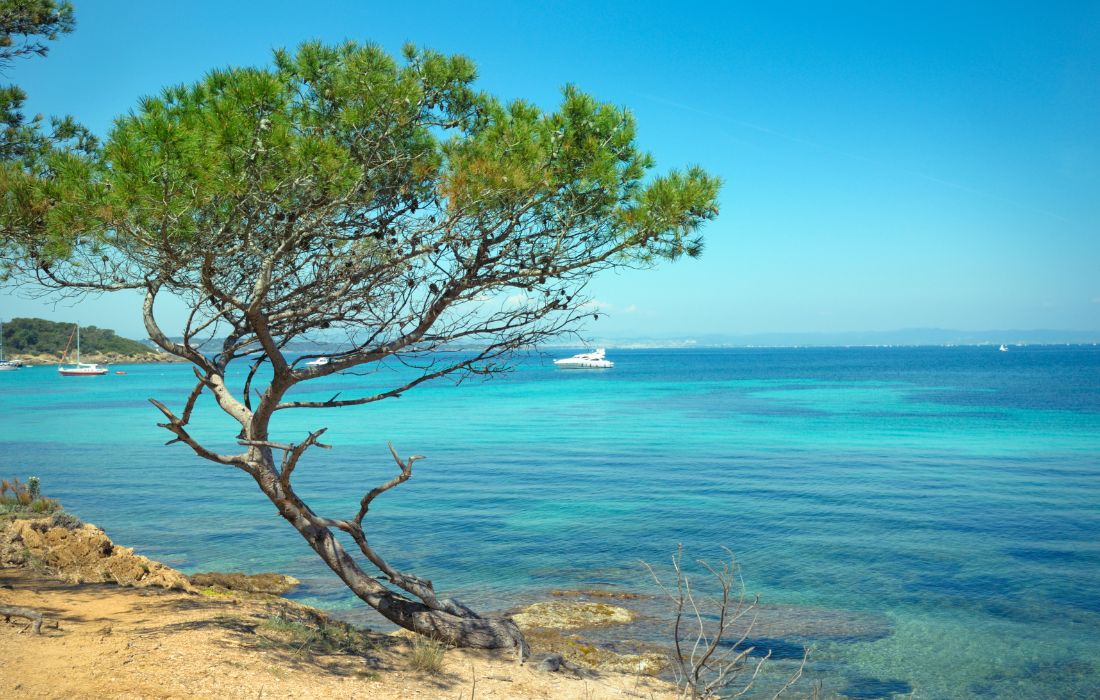 Cote d azur adultes